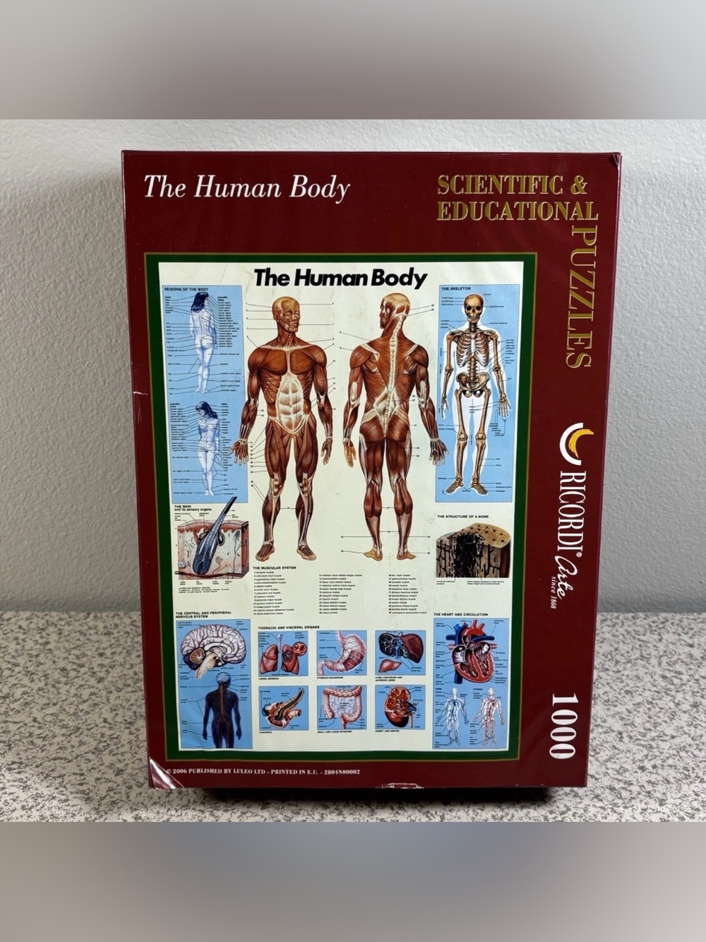 Ricordi Arte The Human Body Jigsaw Puzzle 1000 Pieces 2006 - New Open Box